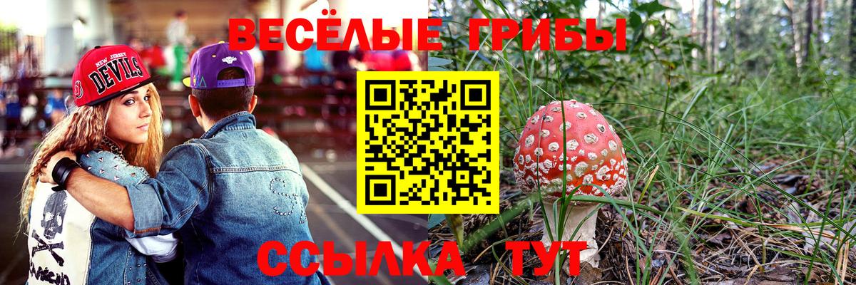 Псилоцибиновые грибы мицелий Балашиха