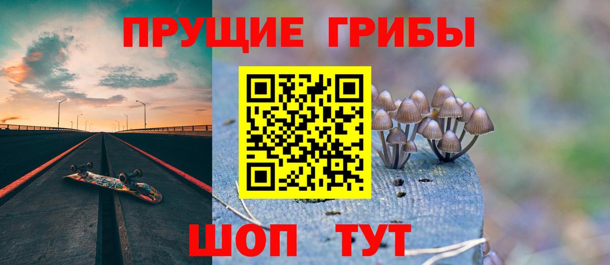 Псилоцибиновые грибы GOLDEN TEACHER  Псилоцибиновые грибы Cubensis  Вход с VPN  Балашиха 
